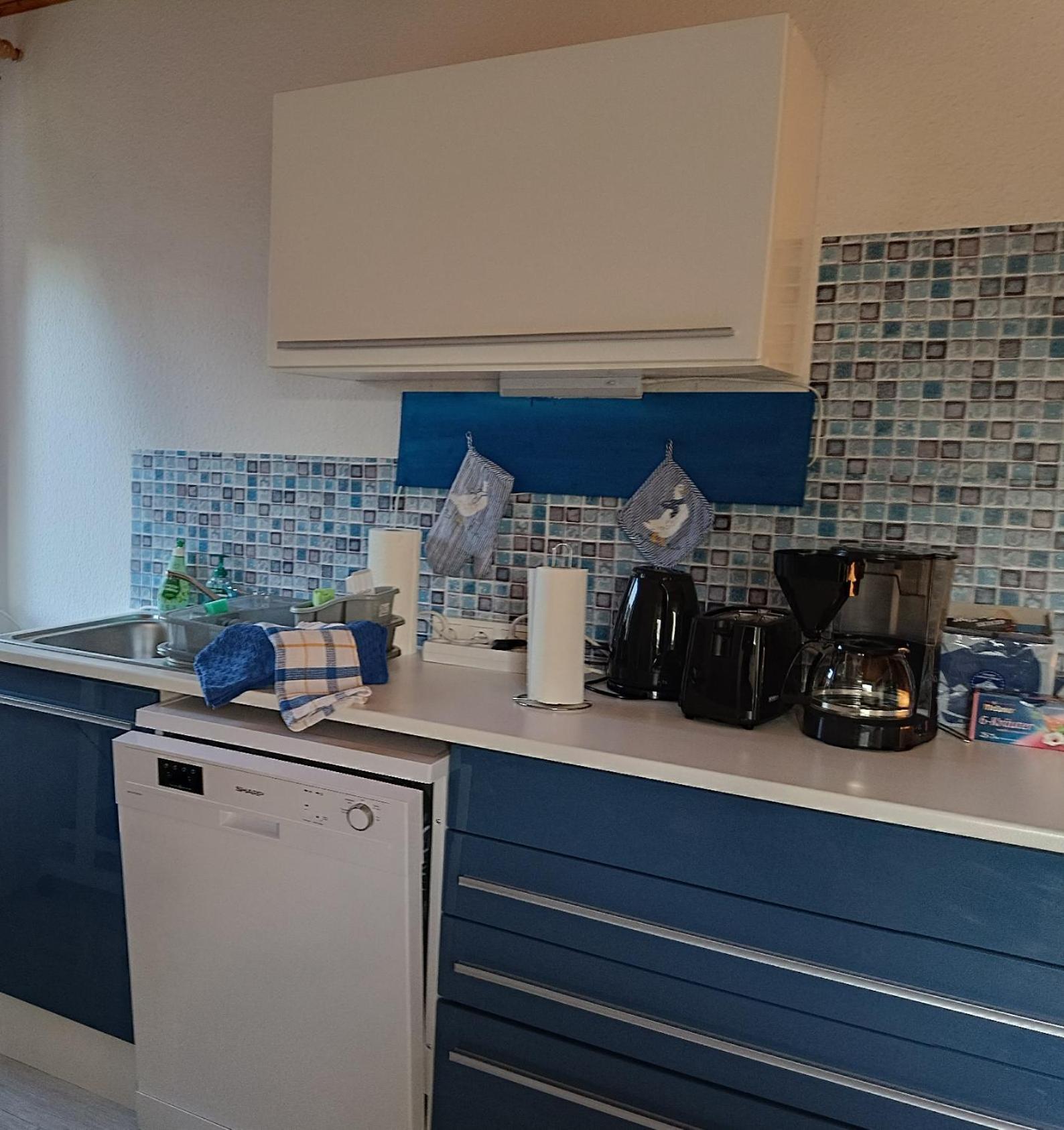 Ferienwohnung Hey Elgersburg المظهر الخارجي الصورة