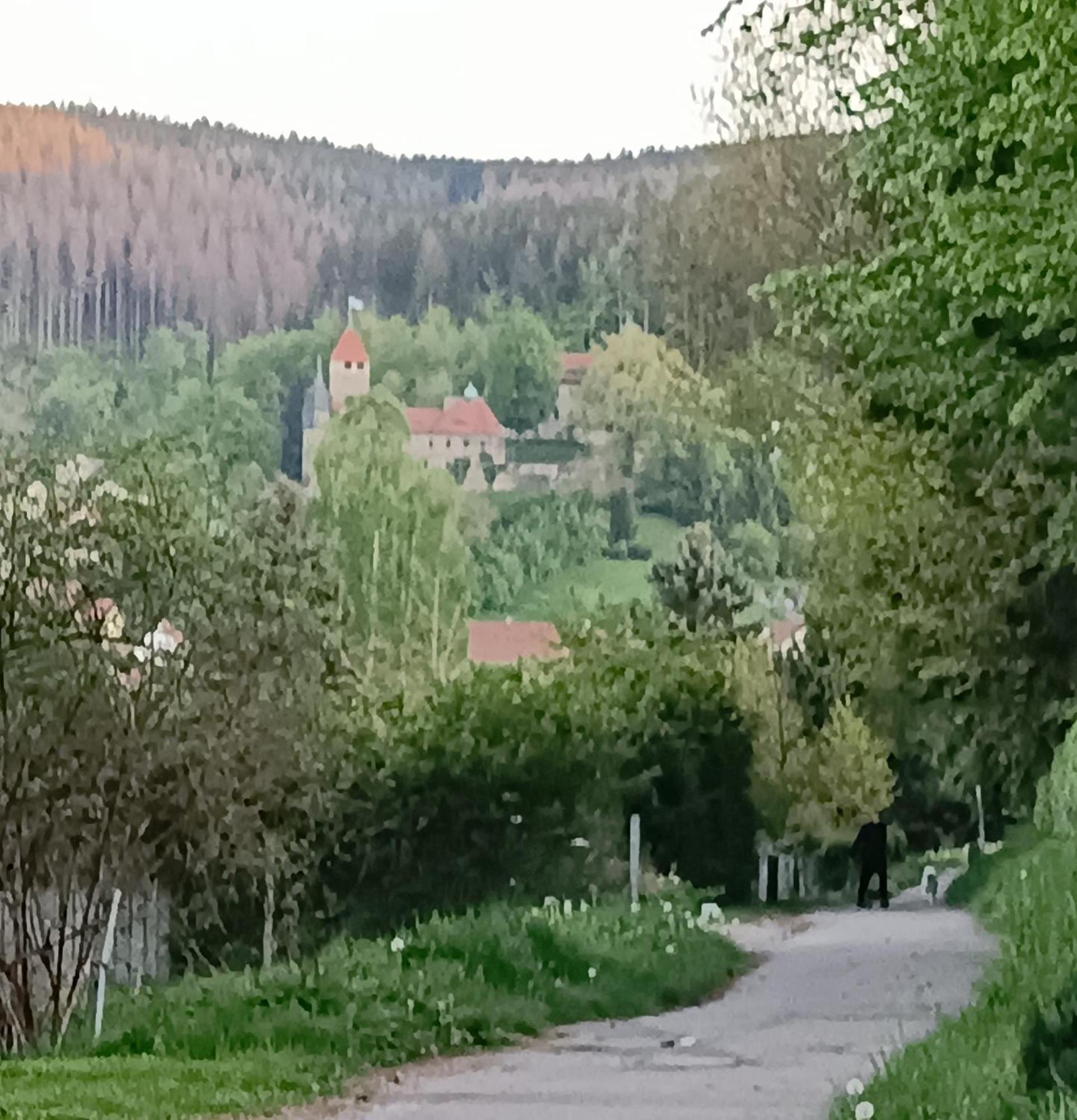 Ferienwohnung Hey Elgersburg المظهر الخارجي الصورة